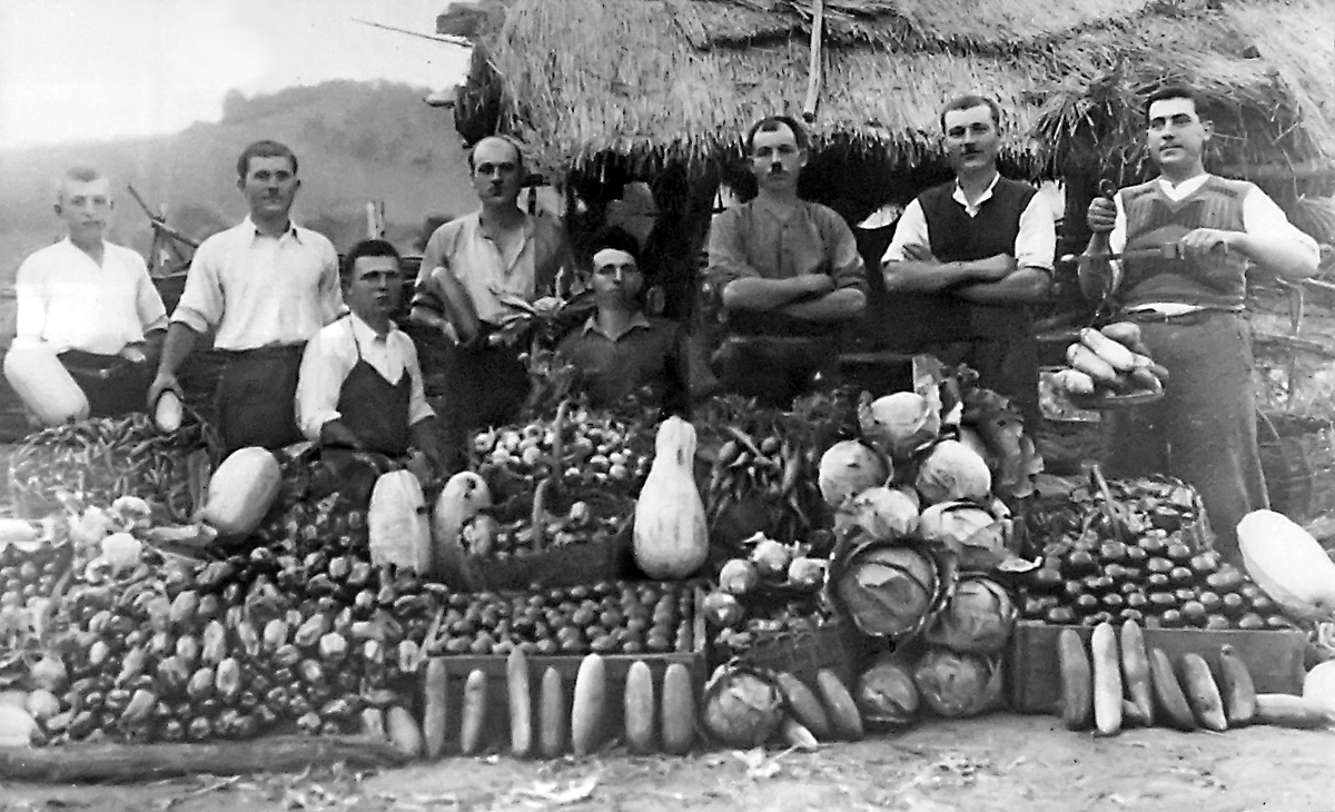 Готов за пазара зеленчук. Унгария, 30-те г. на ХХ в.